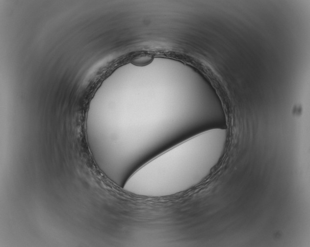 X0000113291016200909211059