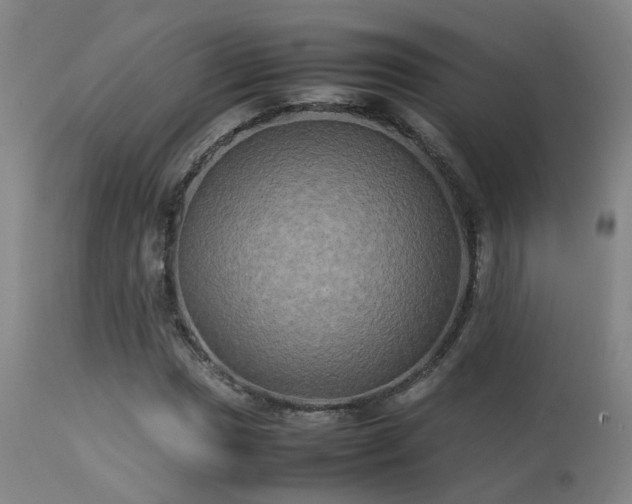 X0000113291017200909211059