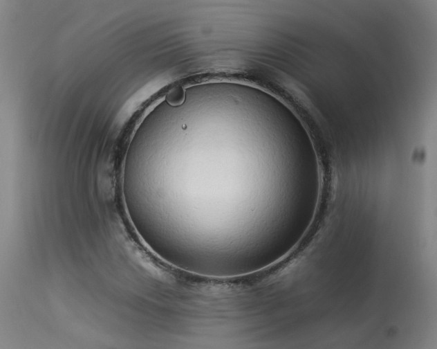 X0000113291018200909211059