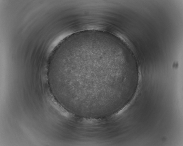 X0000113291019200909211059