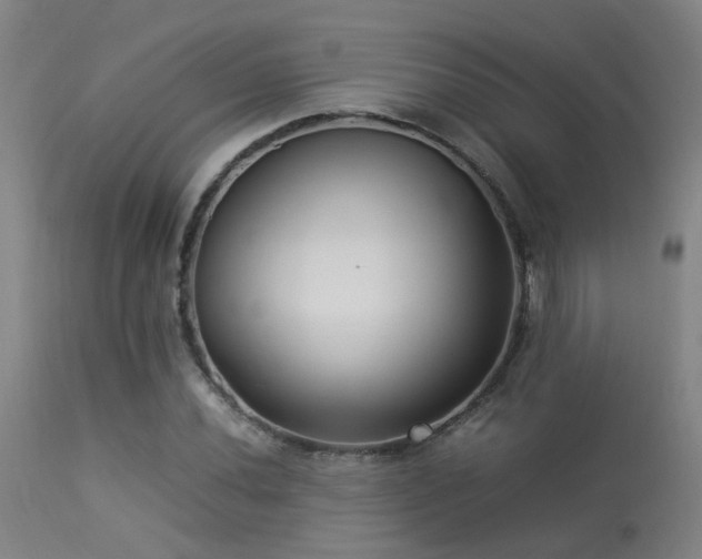 X0000113291020200909211059