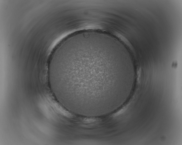 X0000113291021200909211059