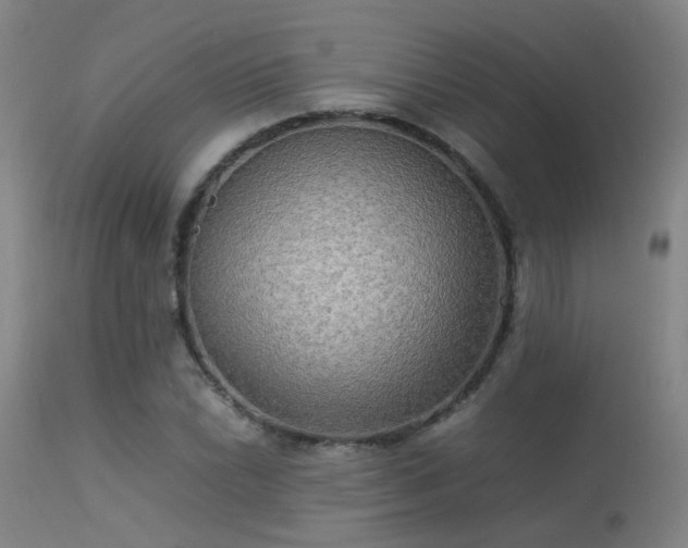 X0000113291022200909211059