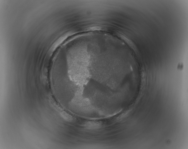 X0000113291023200909211059