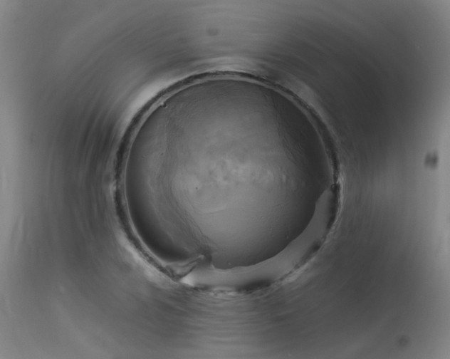 X0000113291024200909211059