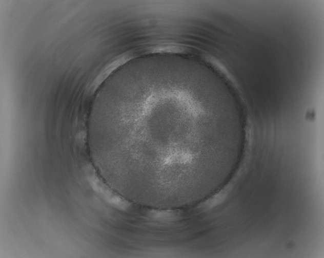 X0000113291025200909211059