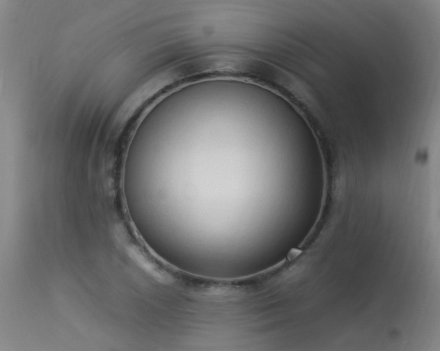 X0000113291026200909211059