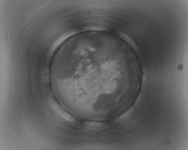 X0000113291027200909211059