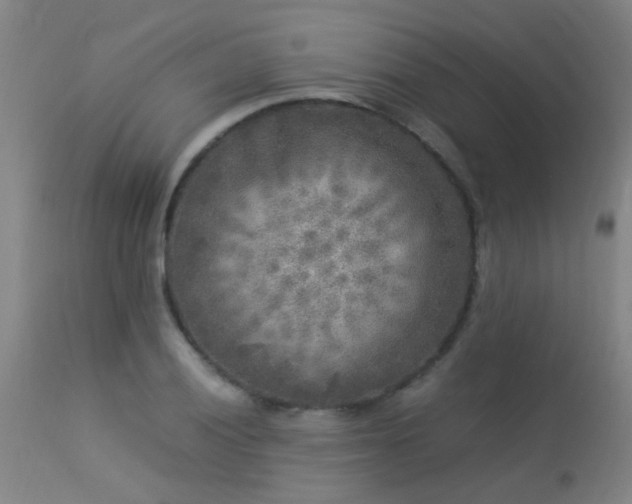 X0000113291028200909211059