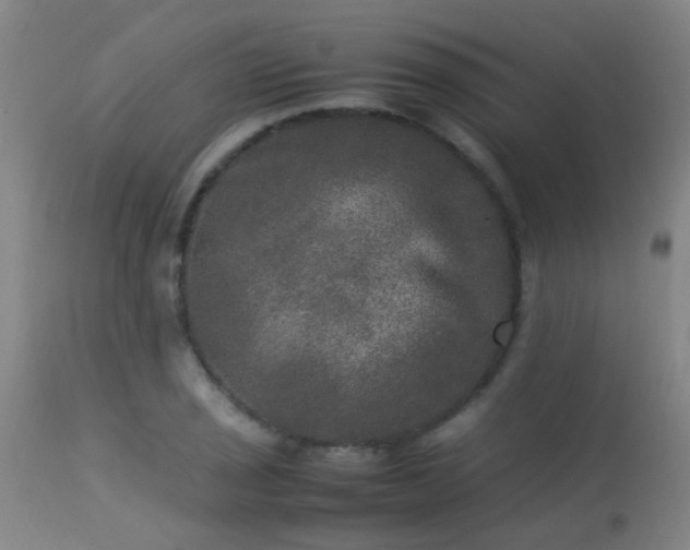 X0000113291029200909211059