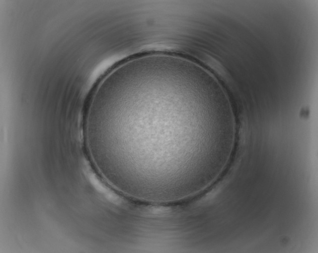 X0000113291030200909211059