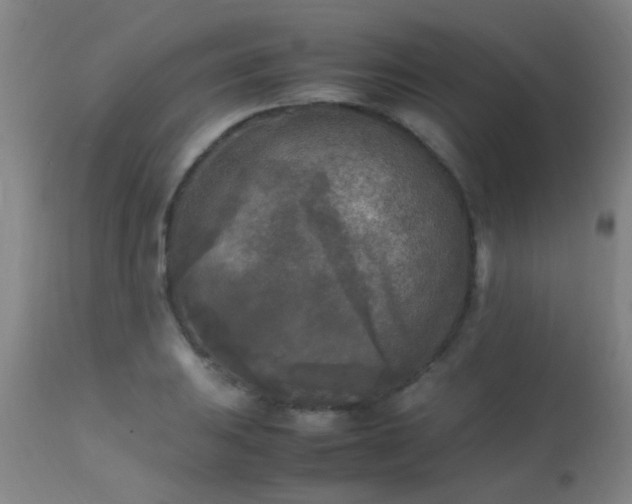 X0000113291031200909211059