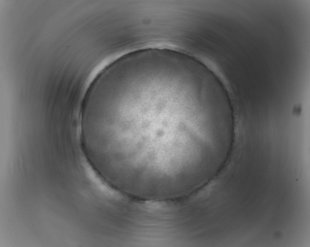 X0000113291032200909211059