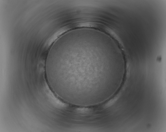 X0000113291033200909211059