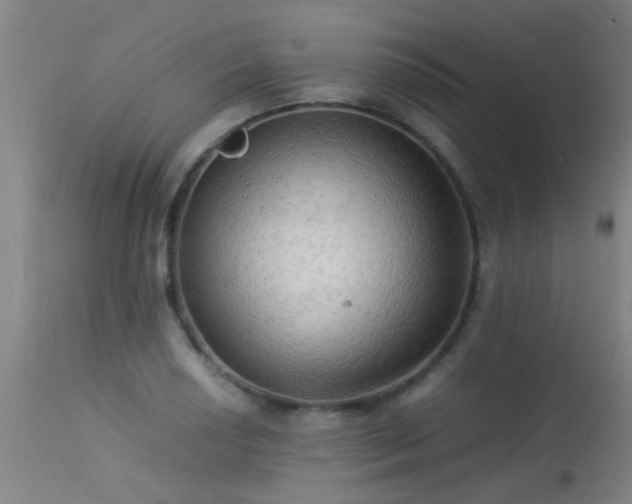 X0000113291034200909211059