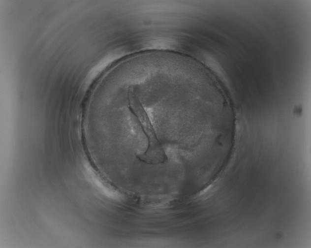 X0000113291035200909211059