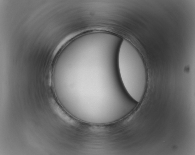 X0000113291036200909211059