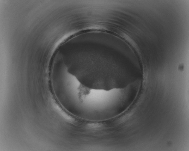 X0000113291037200909211059