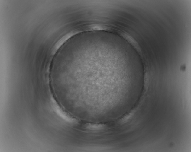 X0000113291039200909211059