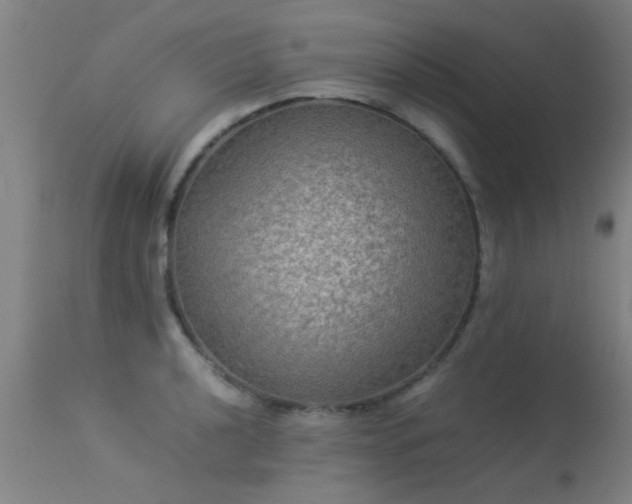 X0000113291040200909211059