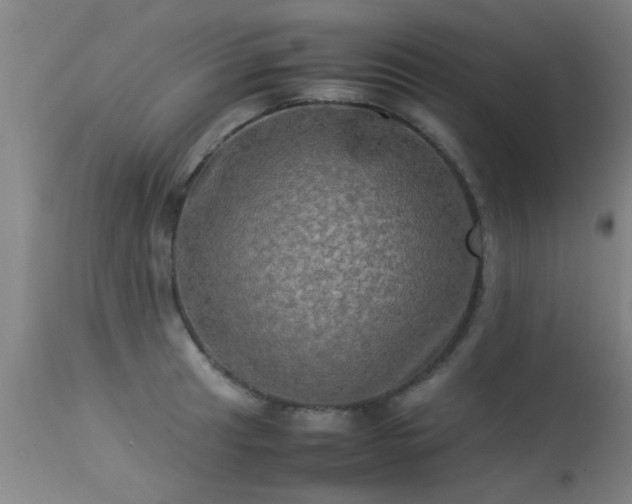 X0000113291041200909211059