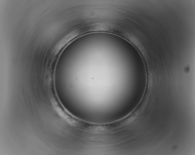 X0000113291042200909211059