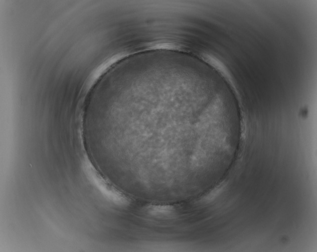 X0000113291043200909211059