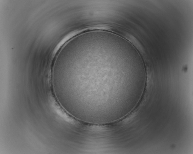 X0000113291044200909211059