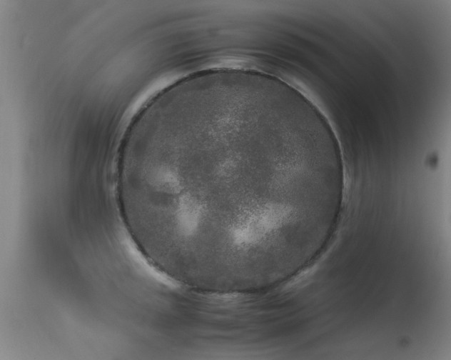 X0000113291045200909211059