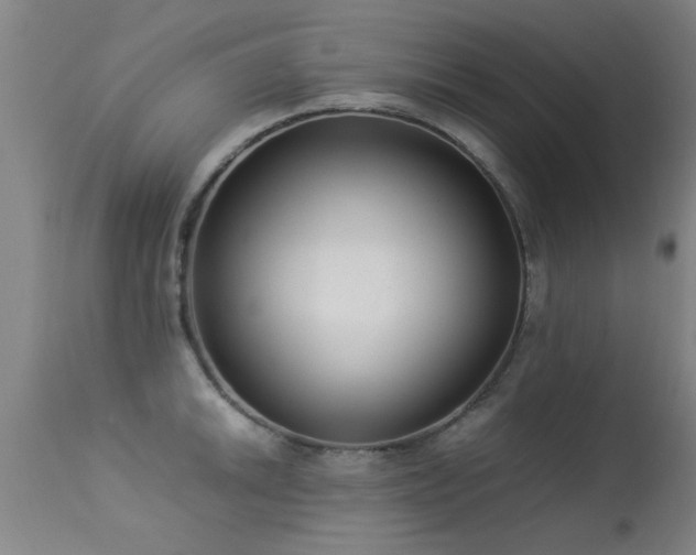 X0000113291046200909211059