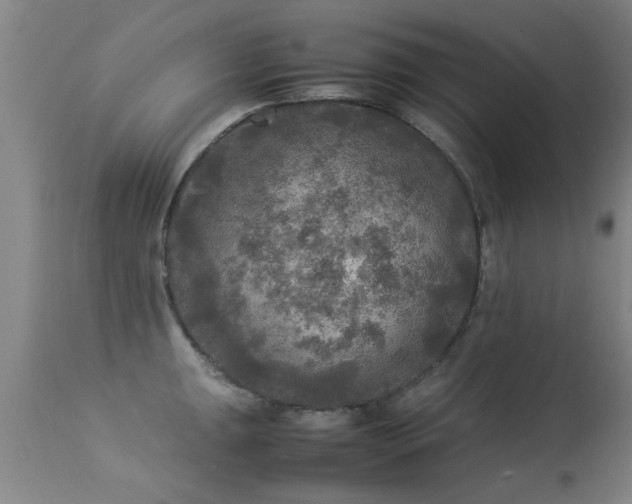 X0000113291047200909211059