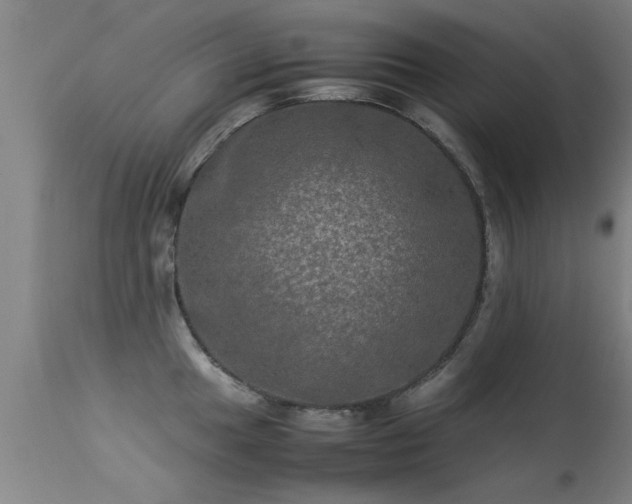 X0000113291049200909211059