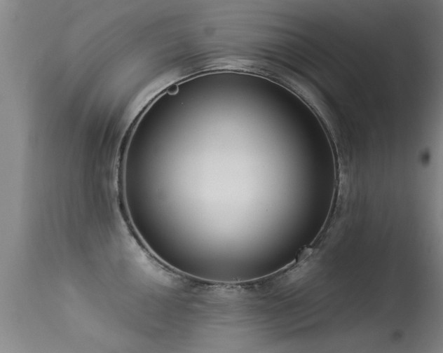 X0000113291050200909211059