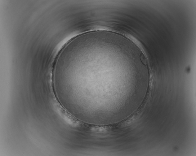 X0000113291051200909211059