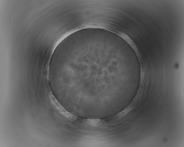 X0000113291052200909211059