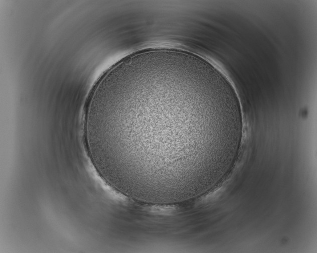 X0000113291053200909211059