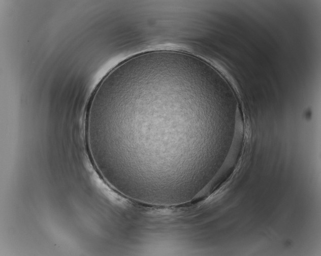 X0000113291054200909211059