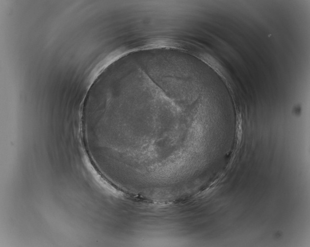 X0000113291055200909211059