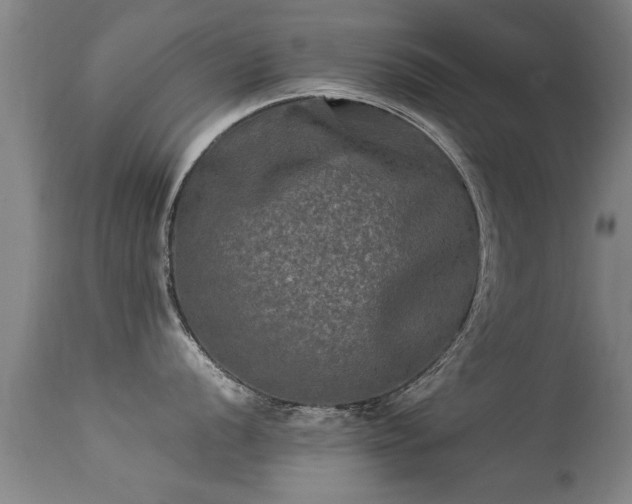 X0000113291056200909211059