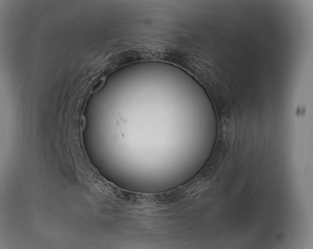 X0000113291057200909211058