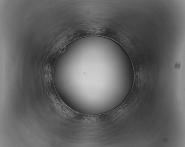 X0000113291058200909211058