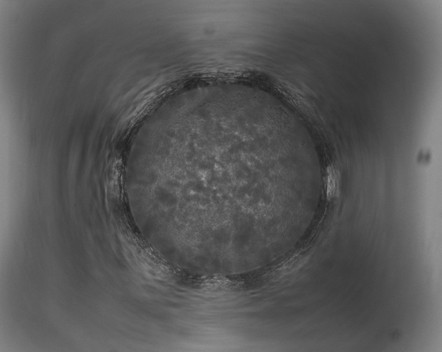 X0000113291059200909211058