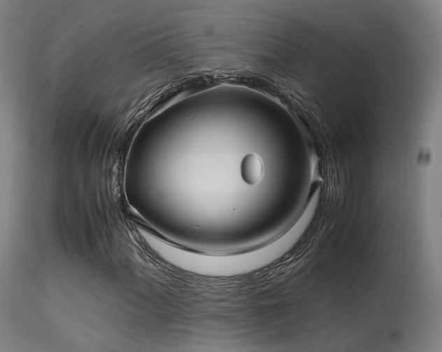 X0000113291060200909211058