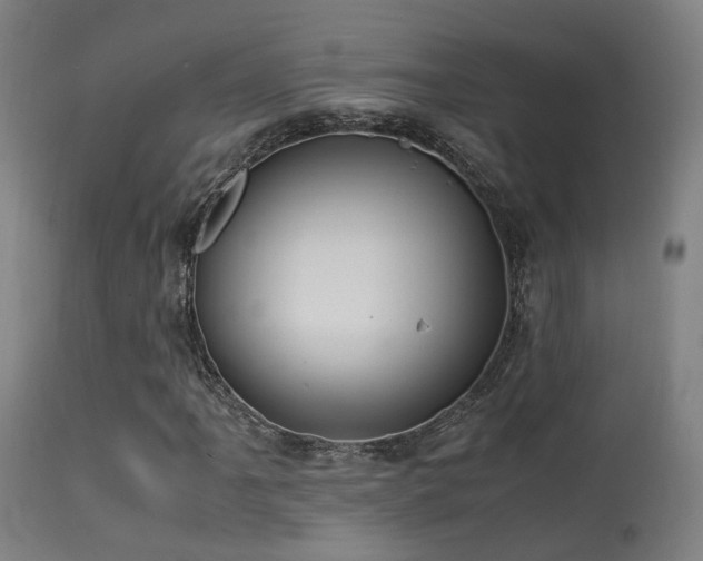 X0000113291061200909211058