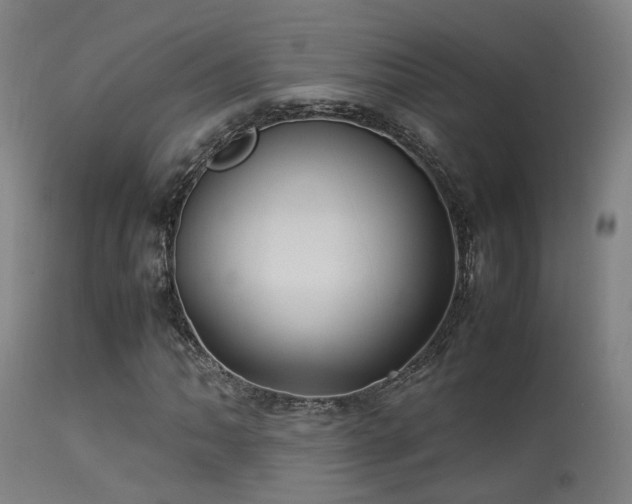 X0000113291062200909211058