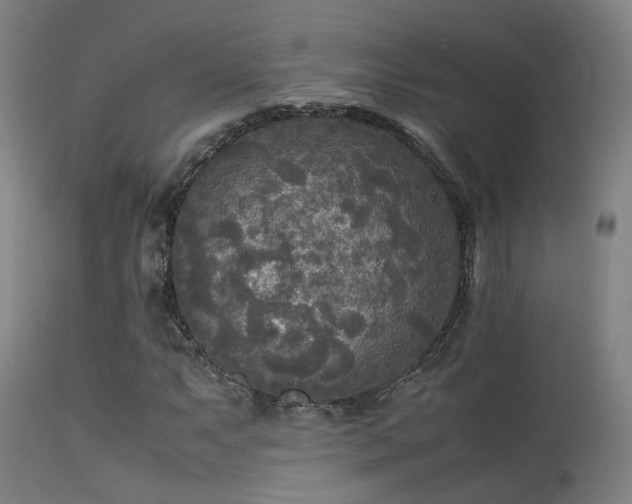 X0000113291063200909211058