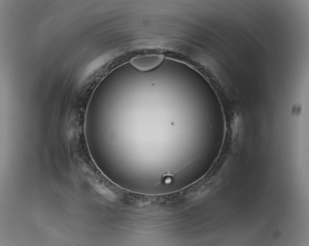 X0000113291064200909211058