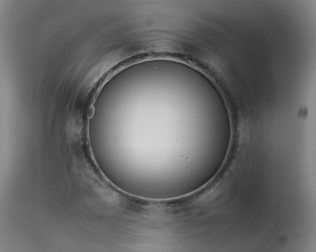 X0000113291065200909211058