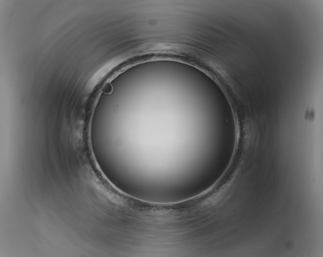 X0000113291066200909211058