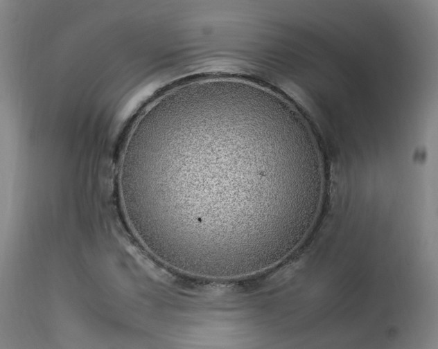 X0000113291067200909211058